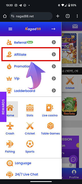 Choose the affiliate program section
