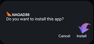 Select the "Install" option, and wait for the installation process to complete