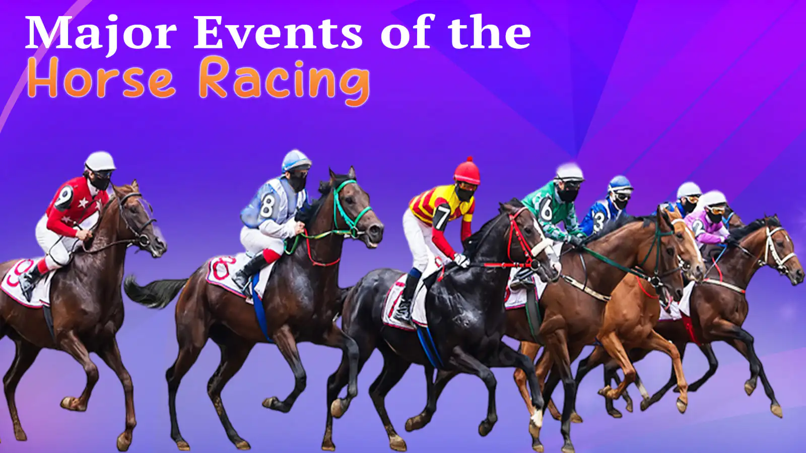 Major events in the world of equestrian sport